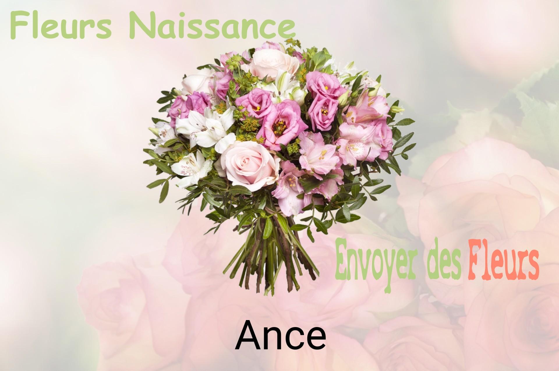 Bouquet de fleurs de naissance livré à Ance