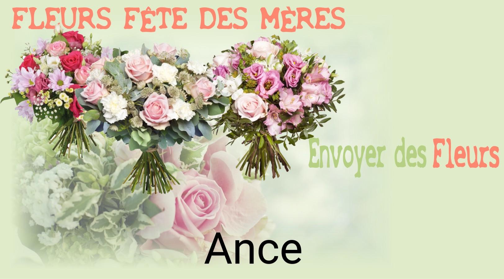 Bouquet de Fête des Mères livré à Ance